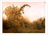 The Old Pear Tree by John William North