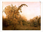 The Old Pear Tree by John William North