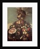 Summer by Giuseppe Arcimboldo