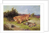 Terrier Watching a Rabbit Trap, 1887 by Arthur Batt