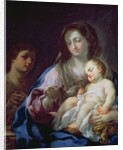 Madonna and Child with St. John the Baptist by Francesco Trevisani
