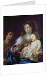 Madonna and Child with St. John the Baptist by Francesco Trevisani