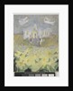 Daffodil Wedding, 2011 by Susan Bower