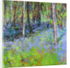 Bluebells and Birches, 2017 by Sylvia Paul