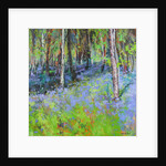 Bluebells and Birches, 2017 by Sylvia Paul