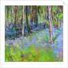 Bluebells and Birches, 2017 by Sylvia Paul