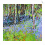 Bluebells and Birches, 2017 by Sylvia Paul
