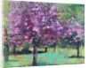 Blossom in the Park, 2016 by Sylvia Paul