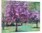Blossom in the Park, 2016 by Sylvia Paul