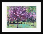 Blossom in the Park, 2016 by Sylvia Paul