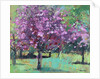 Blossom in the Park, 2016 by Sylvia Paul