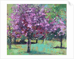 Blossom in the Park, 2016 by Sylvia Paul