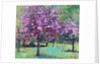 Blossom in the Park, 2016 by Sylvia Paul