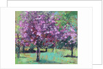 Blossom in the Park, 2016 by Sylvia Paul