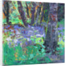 Bluebell Patch by Sylvia Paul