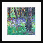 Bluebell Patch by Sylvia Paul