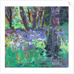 Bluebell Patch by Sylvia Paul
