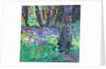Bluebell Patch by Sylvia Paul