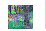 Bluebell Patch by Sylvia Paul