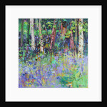 Bluebell Time, 2017 by Sylvia Paul