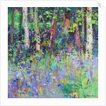 Bluebell Time, 2017 by Sylvia Paul