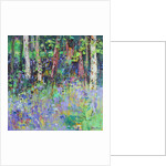 Bluebell Time, 2017 by Sylvia Paul