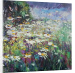 Daisy Meadow, 2017 by Sylvia Paul