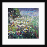 Daisy Meadow, 2017 by Sylvia Paul