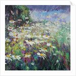 Daisy Meadow, 2017 by Sylvia Paul