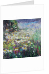 Daisy Meadow, 2017 by Sylvia Paul