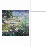 Daisy Meadow, 2017 by Sylvia Paul