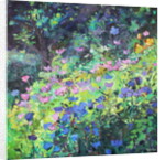 Play of Light, 2017 by Sylvia Paul