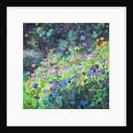 Play of Light, 2017 by Sylvia Paul