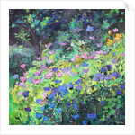 Play of Light, 2017 by Sylvia Paul