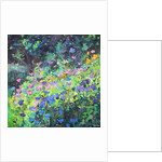 Play of Light, 2017 by Sylvia Paul