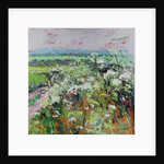 Footpath in Early summer by Sylvia Paul