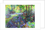 Path Through the Bluebells, 2018 by Sylvia Paul