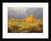 Forest Swamp in Autumn, c.1872 by Fedor Aleksandrovich Vasiliev