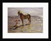 Bathing a Horse, 1905 by Valentin Aleksandrovich Serov