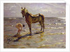 Bathing a Horse, 1905 by Valentin Aleksandrovich Serov