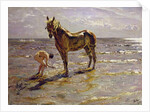 Bathing a Horse, 1905 by Valentin Aleksandrovich Serov