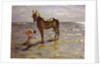 Bathing a Horse, 1905 by Valentin Aleksandrovich Serov