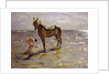 Bathing a Horse, 1905 by Valentin Aleksandrovich Serov