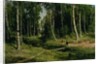 In The Birch Tree Forest, 1883 by Ivan Ivanovich Shishkin