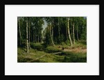 In The Birch Tree Forest, 1883 by Ivan Ivanovich Shishkin