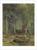 Swamp in the Forest, Autumn, 1872 by Fedor Aleksandrovich Vasiliev