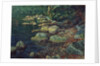 River Scene in Palazzuolo by Aleksandr Andreevich Ivanov