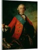 Portrait of Petr Fedorovich 1758 by Fedor Stepanovich Rokotov