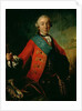 Portrait of Petr Fedorovich 1758 by Fedor Stepanovich Rokotov