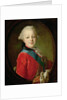 Portrait of Pavel Petrovich 1761 by Fedor Stepanovich Rokotov